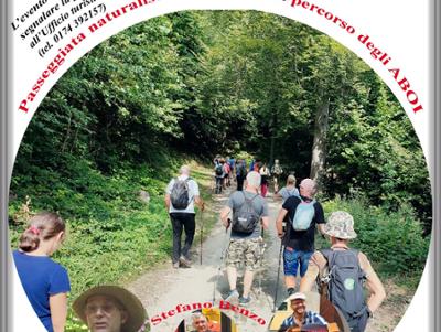 PASSEGGIATA MUSICALE